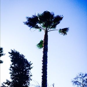 Meet your Posher, Mia